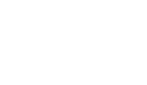 logo sinksen